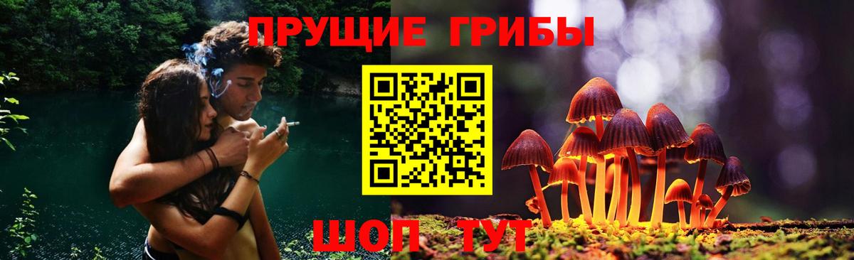 Симферополь  Псилоцибиновые грибы GOLDEN TEACHER  Вход с VPN 